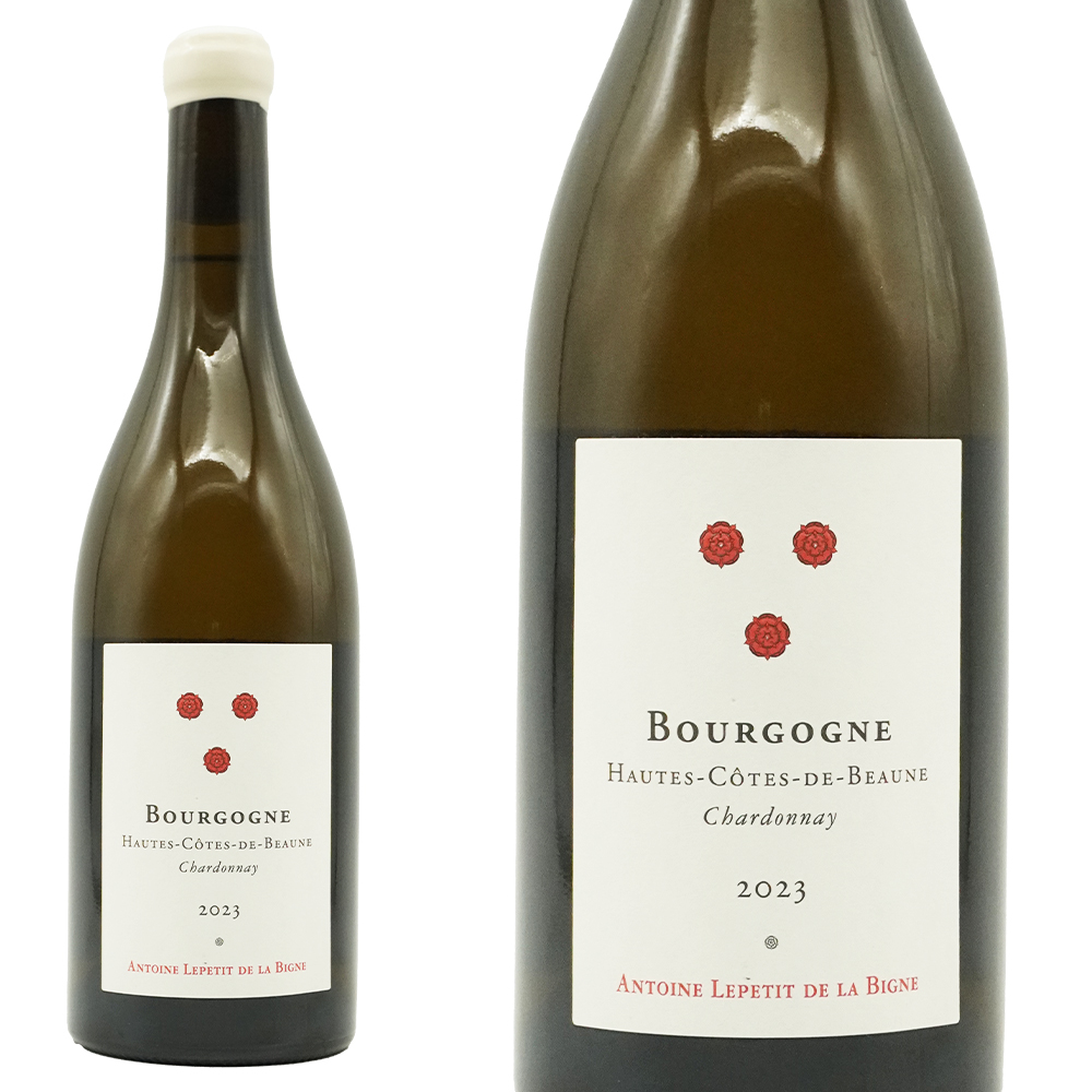 ブルゴーニュ オート コート ド ボーヌ シャルドネ  2023  超限定作品 アントワーヌ ルプティ ド ラ ビーニュ 自然派 ロウ封印キャップ