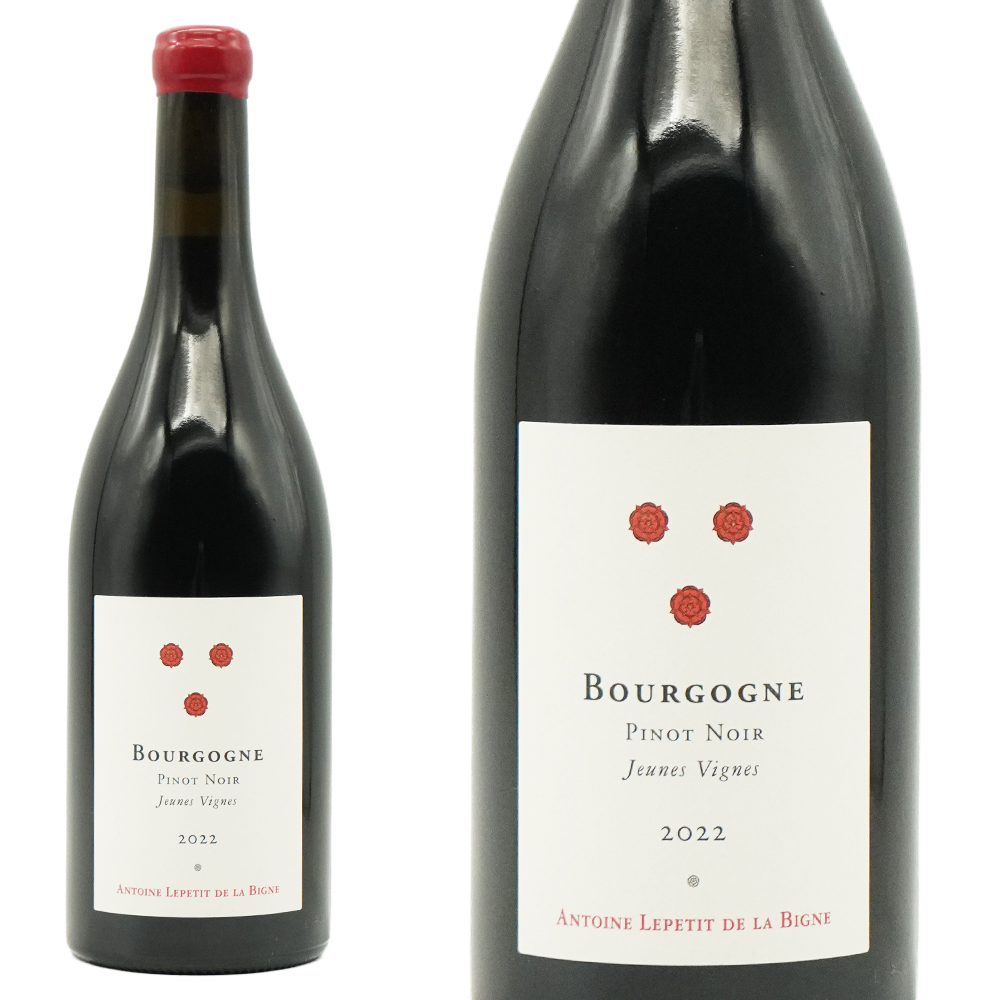 ブルゴーニュ ピノ ノワール ジューヌ ヴィーニュ 2023 アントワーヌ ルプティ ド ラ ビーニュ(名門ドメーヌ ルフレーヴの元醸造長) 自然派
