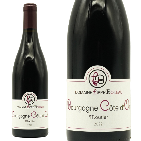 ブルゴーニュ コートドール リウ ディ ムティエ ルージュ 2022 蔵出し作品 ドメーヌ リップ ボワロー元詰 AOC ブロション村内のリウ ディ