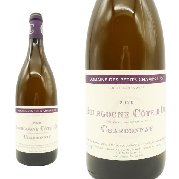 ブルゴーニュ コート ドール ブラン 2020 ドメーヌ デ プティ シャン ラン元詰 AOCブルゴーニュ コート ドール ブラン 自然派