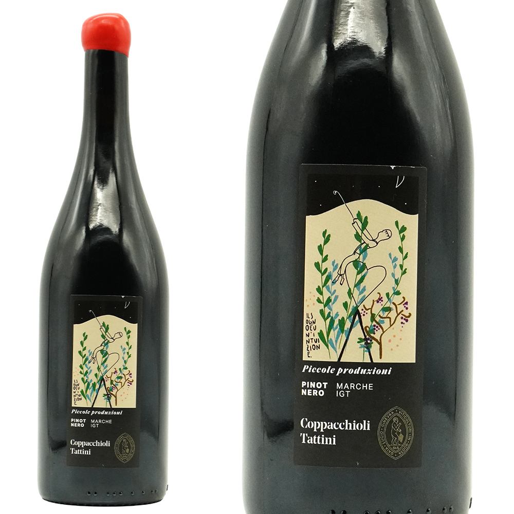 ピッコレ プロドゥツィオーニ ピノ ネーロ 2024 蔵出し限定作品 コッパッキヨリ タッティーニ家 (オーナー ジネヴラ コッパッキヨリ家) 元詰