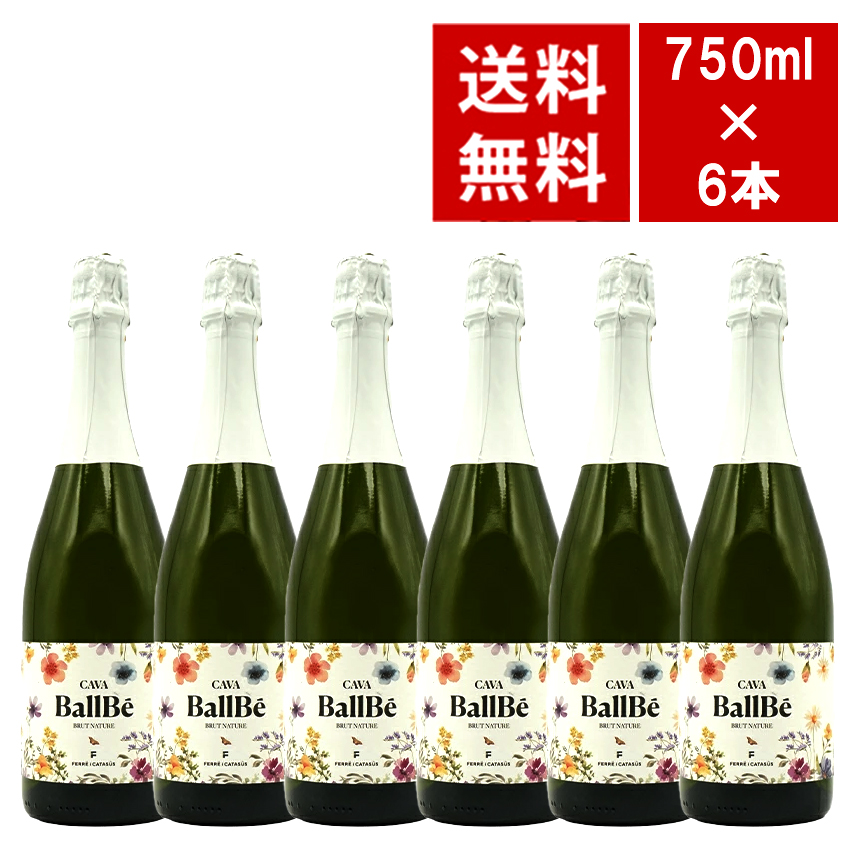 【送料無料 6本セット】カヴァ フェレ イ カタスス バルベ ブルット ナトゥーレ NV フェレ イ カタスス元詰(ルイ フェレ家) ワインセット