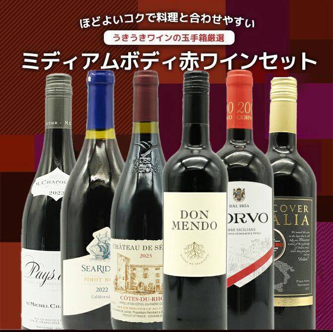 【送料無料】玉手箱厳選・各世界の極上ミディアムボディ飲み比べ赤ワイン6本セット
