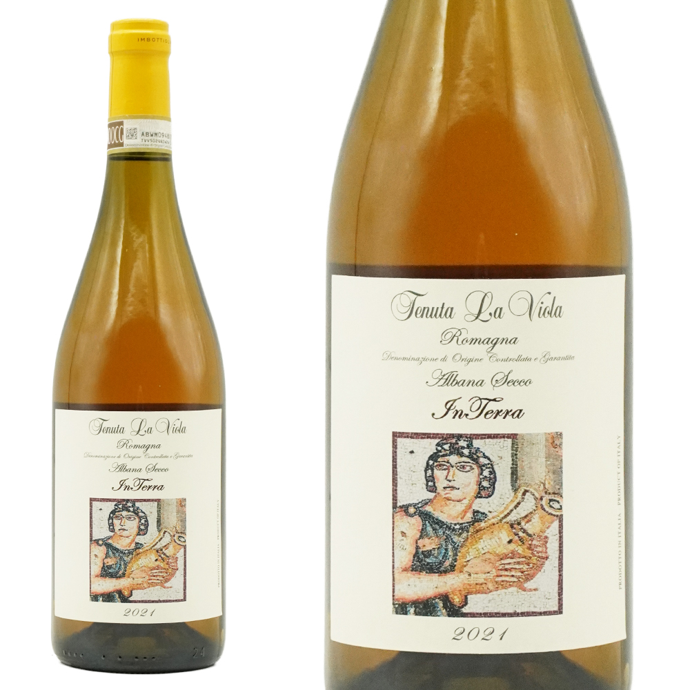 イン テッラ ロマーニャ アルバーナ セッコ(オレンジワイン) 2021 テヌータ ラ ヴィオラ元詰(ステファーノ ガベリーニ氏) 自然派