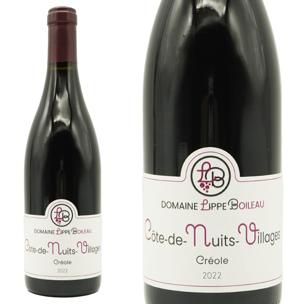 コート ド ニュイ ヴィラージュ ルージュ 2022 蔵出し品 ドメーヌ リップ ボワロー元詰 AOCコートドニュイヴィラージュ 赤ワイン 750ml