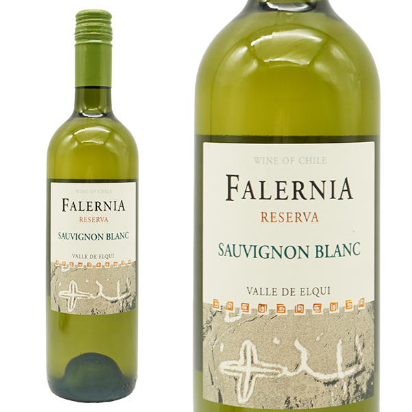 ビーニャ ファレルニア ソーヴィニヨン ブラン レセルバ 2023 DO エルキヴァレー 白ワイン 辛口 750ml