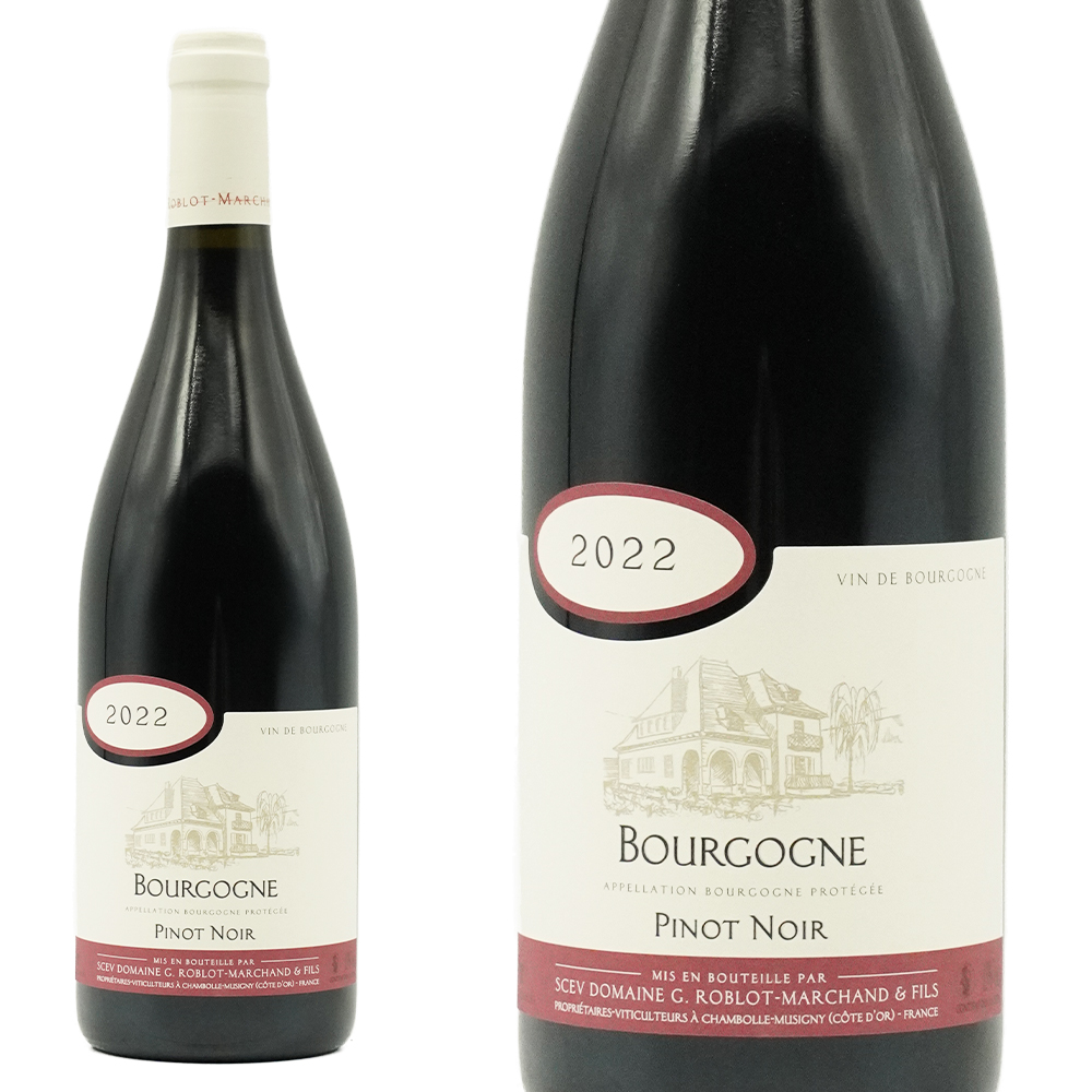 ブルゴーニュ ピノ ノワール 2022 蔵出し品 ドメーヌ G ロブロ マルシャン AOCブルゴーニュ 赤ワイン フランスワイン ミディアムボディ