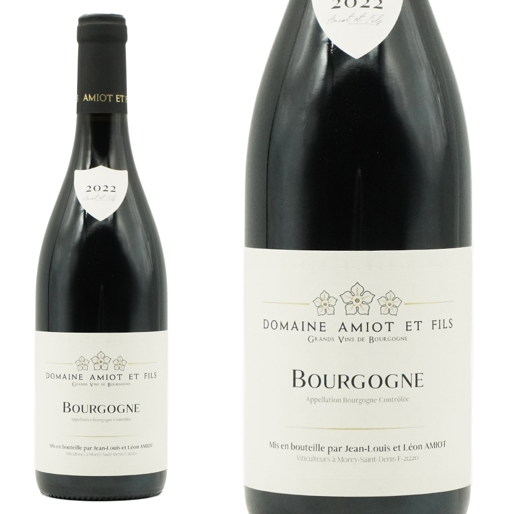 ブルゴーニュ ピノ ノワール 2022 オーク樽16ヶ月熟成 ドメーヌ アミオ エ フィス (ピエール アミオ) 元詰 AOC 年産1,760本のみ