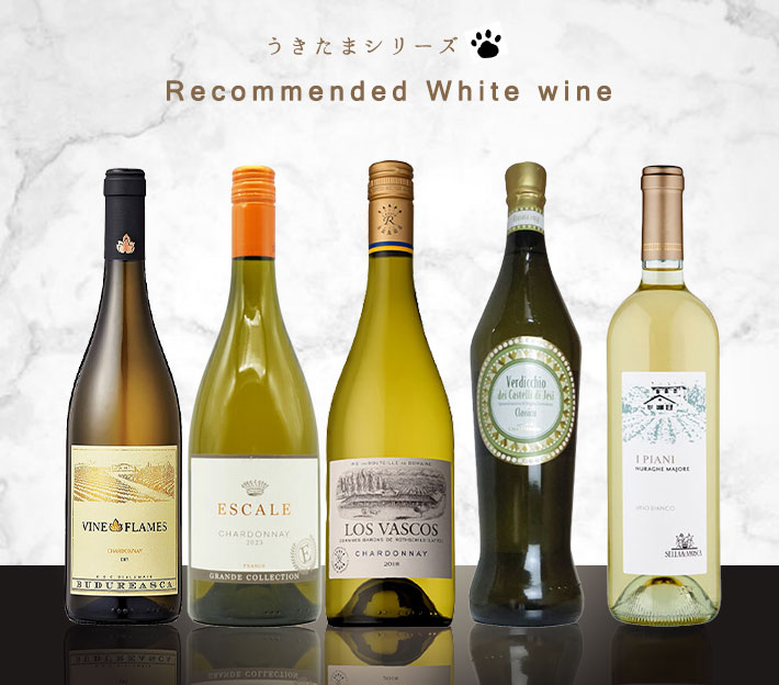 【送料無料】うきたまシリーズ 超おすすめ世界の白ワイン5本セット (白ワイン ワインセット)