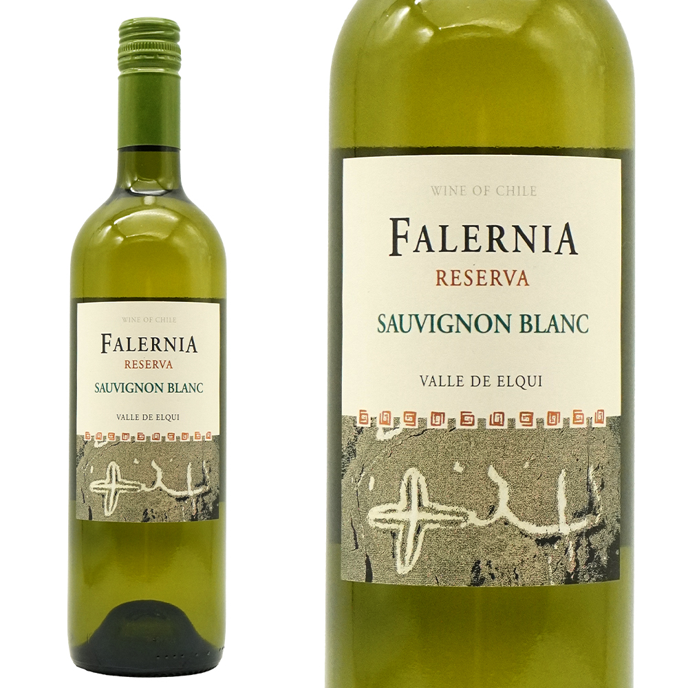 ビーニャ ファレルニア ソーヴィニヨン ブラン レセルバ 2024 DO エルキヴァレー 白ワイン 辛口 750ml
