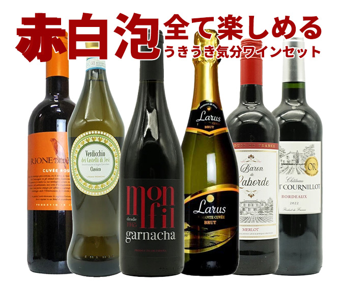 ワインセット  極上の味わい＆価格に超自信あり！毎日の食卓に！赤・白・泡が全て入ったうきうき気分6本ワインセット！  （送料無料）  家飲み