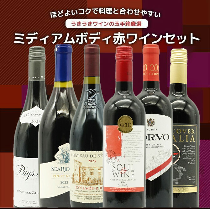 【送料無料】玉手箱厳選・各世界の極上ミディアムボディ飲み比べ赤ワイン6本セット