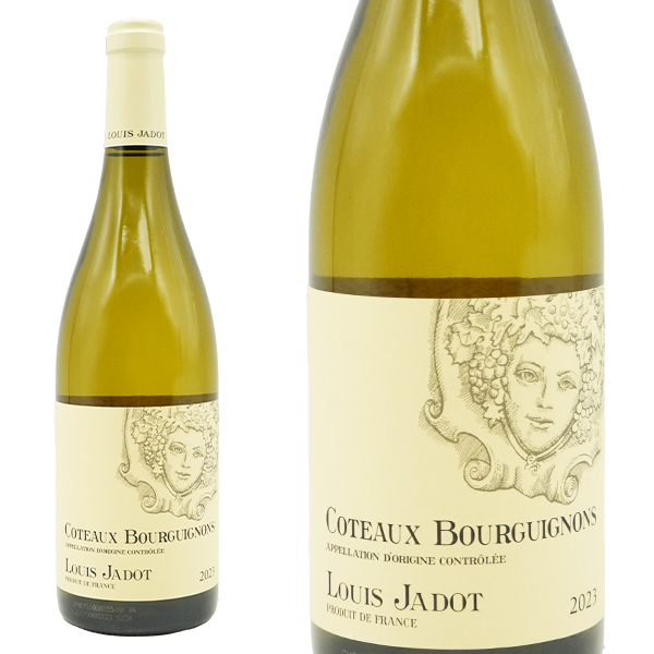 コトー・ブルギニョン ブラン 2023年 ルイ・ジャド社 (フランス・白ワイン)