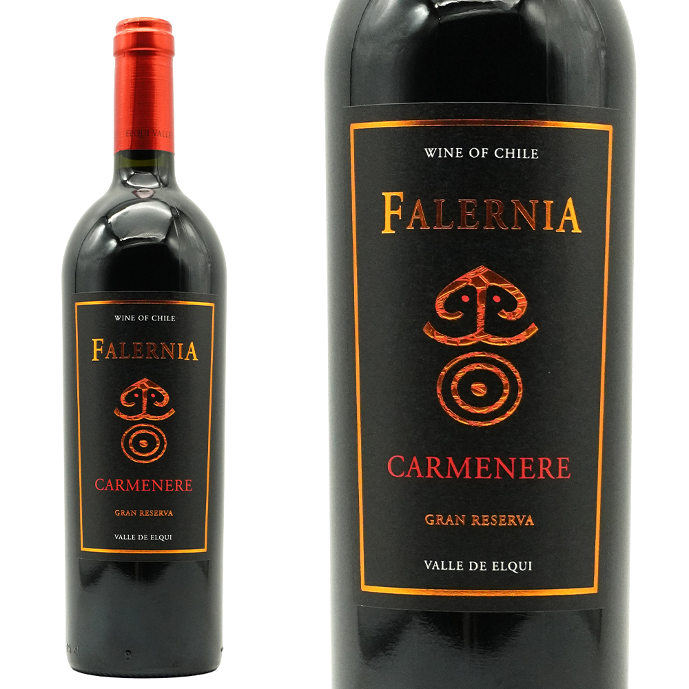 ビーニャ ファレルニア カルメネール グラン レセルバ 2021 D.O.エルキ バレー 重厚ボトル