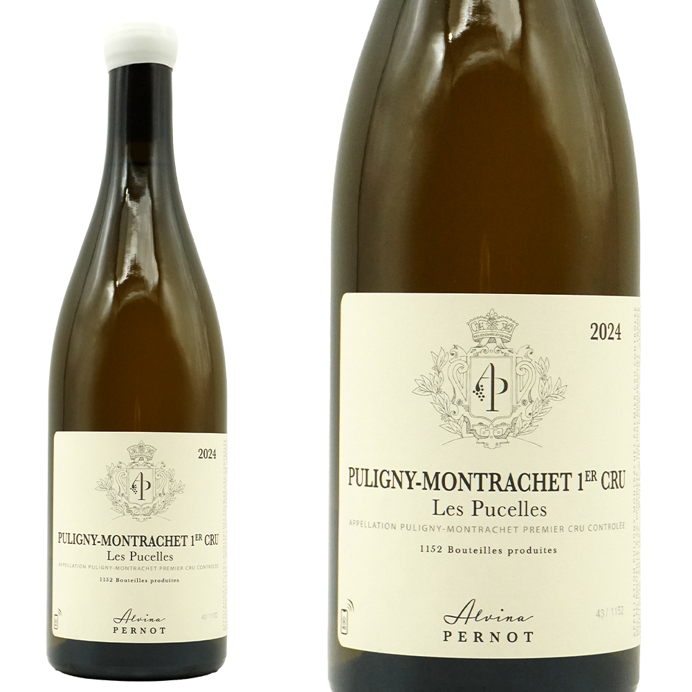 ピュリニー モンラッシェ プルミエ クリュ 一級 レ ピュセル 2024 蔵出し品 オーク樽11ヶ月熟成 アルヴィナ ペルノ元詰 AOC
