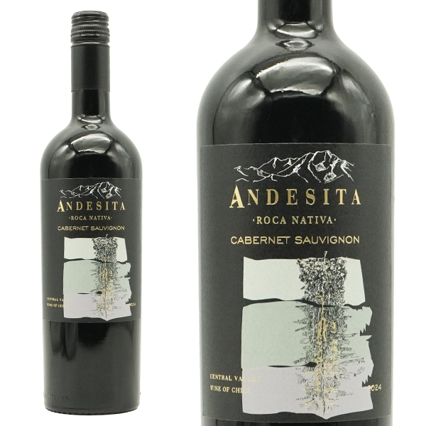 アンデシータ カベルネ ソーヴィニヨン ヴィーニャ カサ シルヴァ チリ DOセントラル ヴァレー 辛口 赤ワイン 750ml