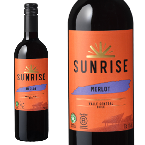 サンライズ メルロー コンチャ イ トロ