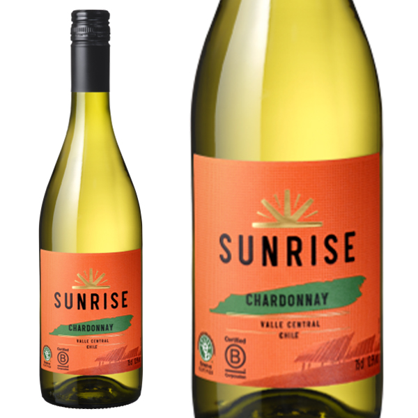 サンライズ シャルドネ コンチャ イ トロ
