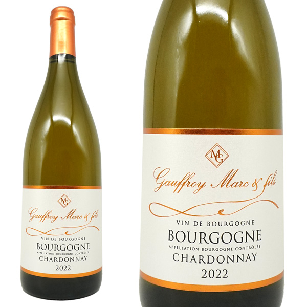 ブルゴーニュ シャルドネ 2019 蔵出し作品 樹齢驚異の55年V.Vのシャルドネ100% ドメーヌ マルク ゴーフロワ元詰 AOC ブルゴーニュ