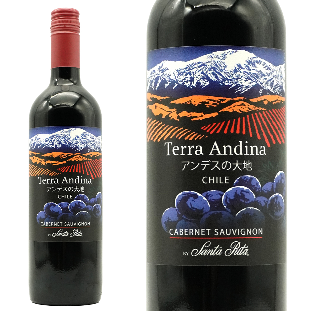 テラ アンディーナ アンデスの大地 カベルネ ソーヴィニヨン 2024 サンタ リタ エステーツ チリ セントラルヴァレー