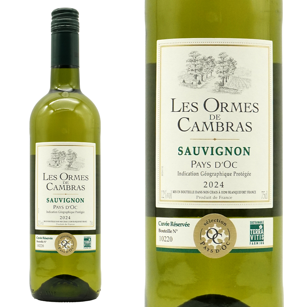 レ ゾルム ド カンブラス ソーヴィニヨン ブラン キュヴェ レセルヴ 2024 フランス IGTペイ ドック 白ワイン ワイン 辛口 750ml