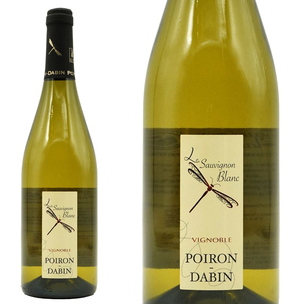 ポワロン ダバン ソーヴィニヨン ブラン 2024 年 蔵出し作品 ドメーヌ ポワロン ダバン元詰 IGPヴァル ド ロワール 自然派 12％