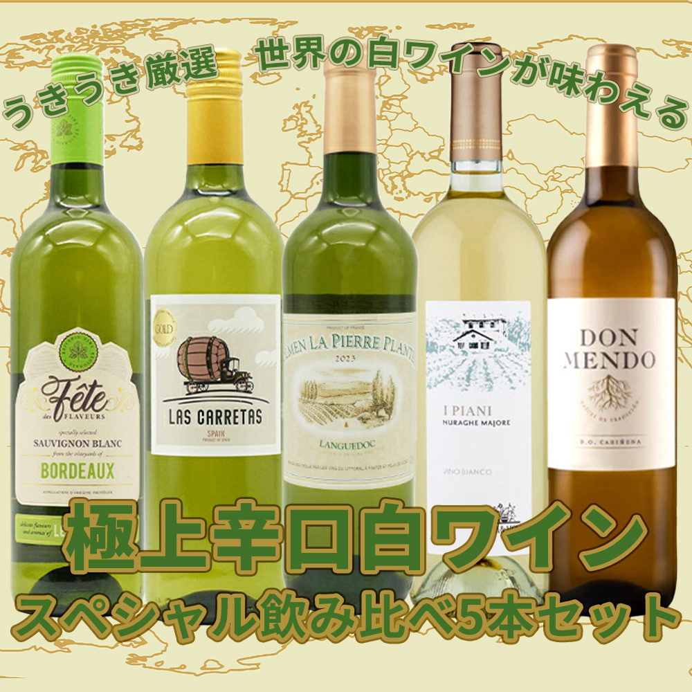 【送料無料】当店厳選！世界の白ワインが味わえる！超極上辛口白ワイン究極スペシャル飲み比べ5本セット