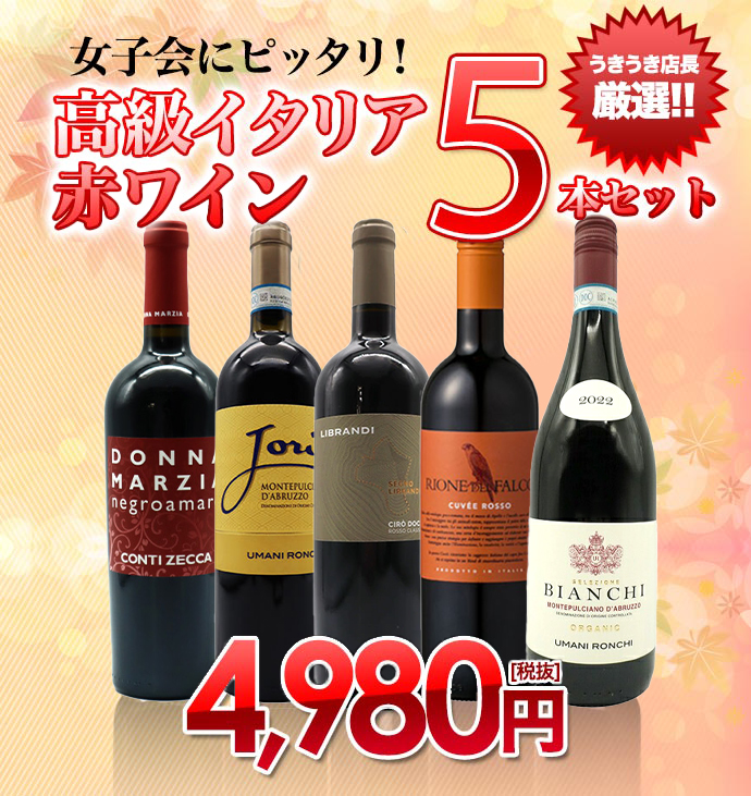 女子会にピッタリ!うきうき店長厳選!高級イタリア赤ワイン5本セット! ワインセット