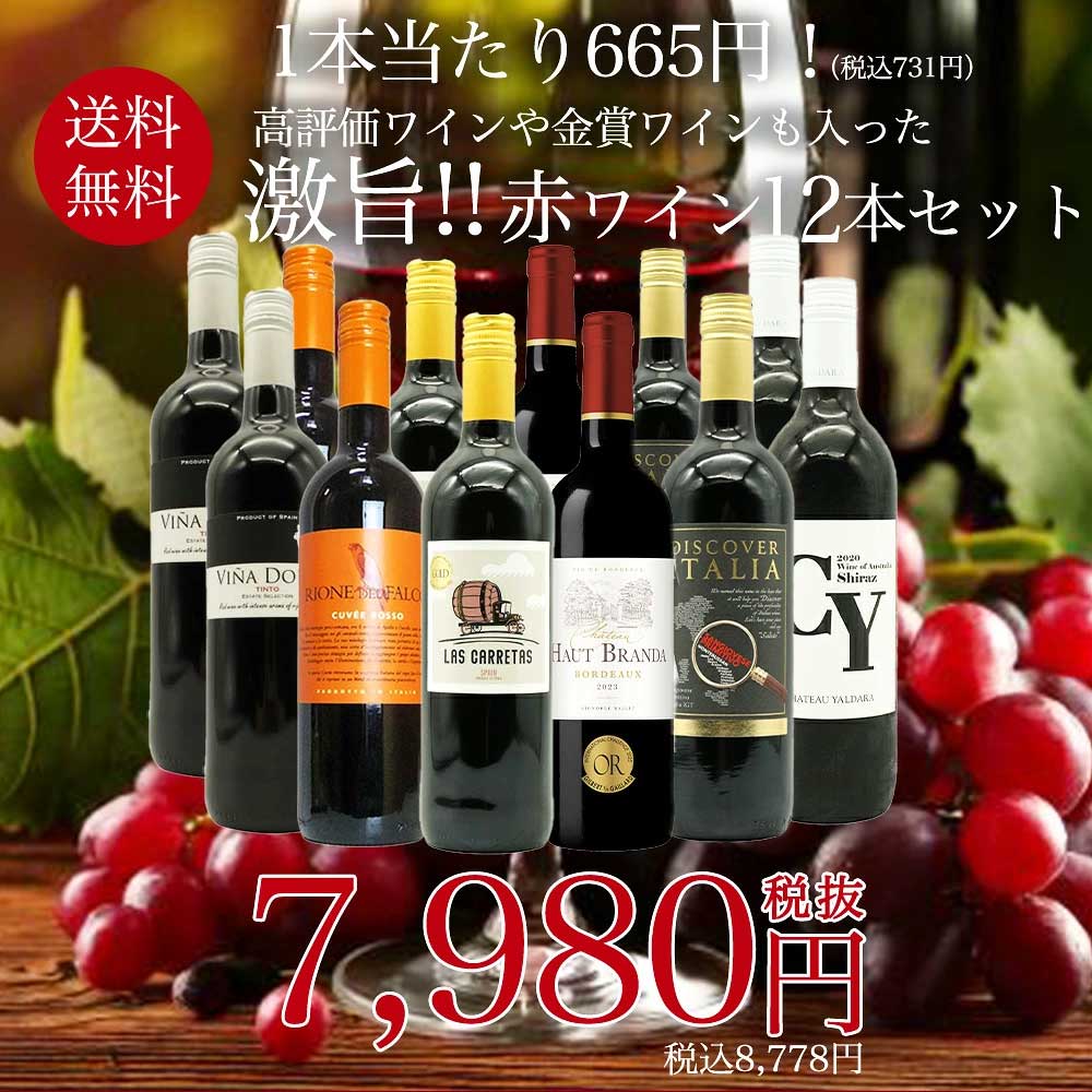 【送料無料】玉手箱厳選！高評価ワインや金賞ワインも入った激旨赤12本セット ワインセット (6種類×各2本)