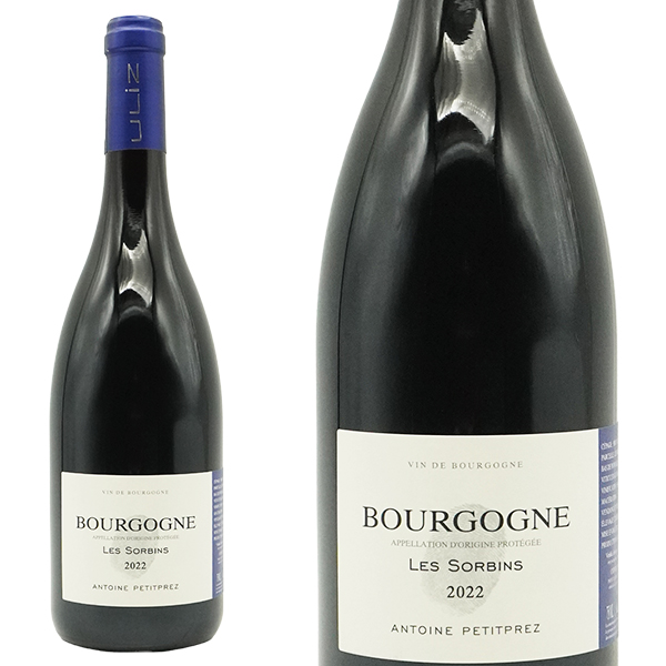 ブルゴーニュ ルージュ レ ソルバン 2022 アントワーヌ プティプレ元詰 AOCブルゴーニュ ピノ ノワール 自然派 ビオディナミ SO2無添加