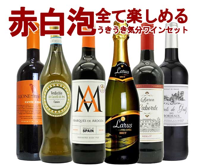 ワインセット  極上の味わい＆価格に超自信あり！毎日の食卓に！赤・白・泡が全て入ったうきうき気分6本ワインセット！  （送料無料）  家飲み