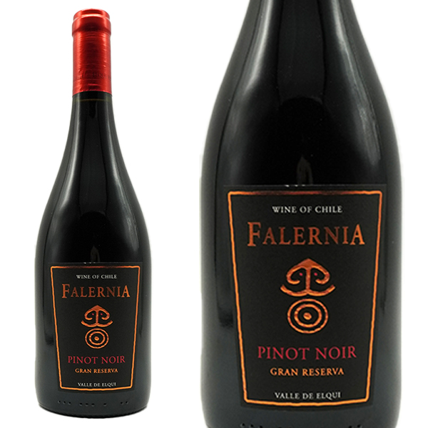 ヴィーニャ ファレルニア ピノ ノワール グラン レセルバ 2019 ファレルニア フルボディ 赤ワイン 750ml (ヴィーニャ ファレルニア ピノ ノワール レセルバ)