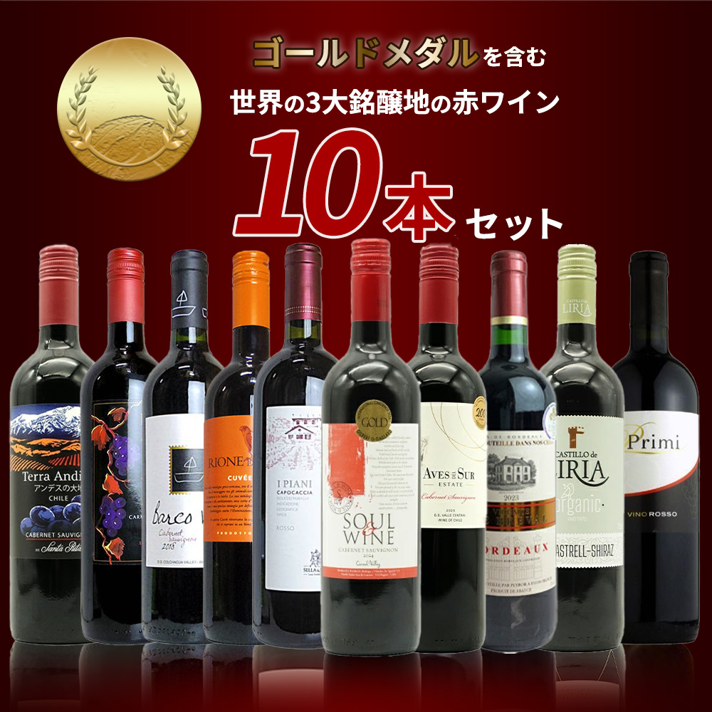 【送料無料】SOY受賞記念！日頃の感謝をこめて！ゴールドメダルを含む世界の3大銘醸地の赤ワイン10本セット！