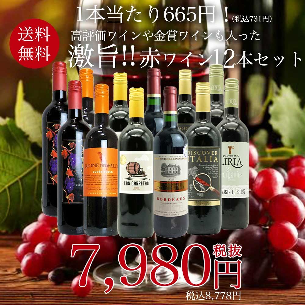 【送料無料】玉手箱厳選！高評価ワインや金賞ワインも入った激旨赤12本セット ワインセット (6種類×各2本)