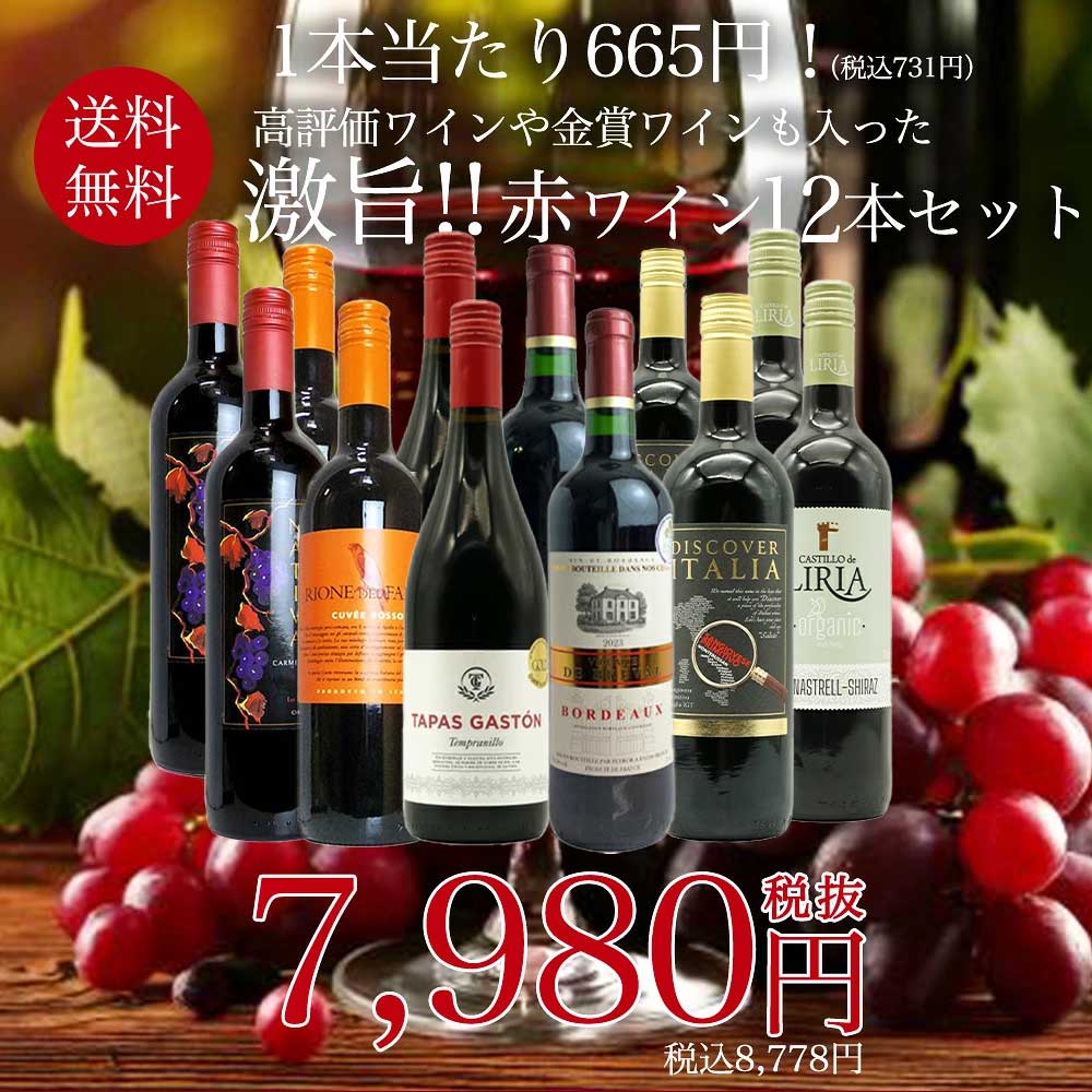 【送料無料】玉手箱厳選！高評価ワインや金賞ワインも入った激旨赤12本セット ワインセット (6種類×各2本)