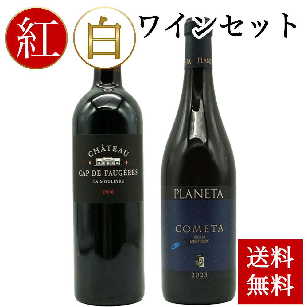 【送料無料 お中元 夏ギフト】感謝の気持ちを込めて!紅白ワインセット C