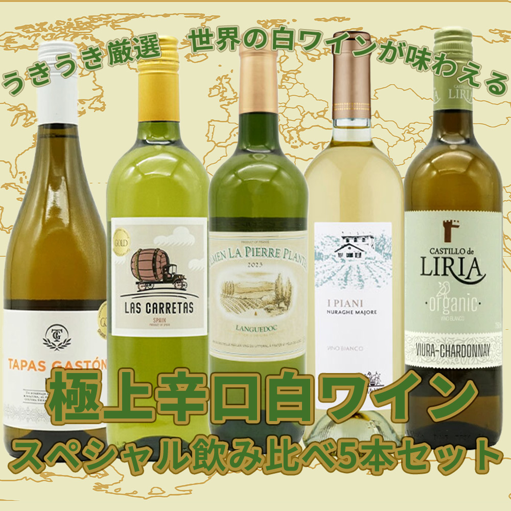 【送料無料】当店厳選！世界の白ワインが味わえる！超極上辛口白ワイン究極スペシャル飲み比べ5本セット