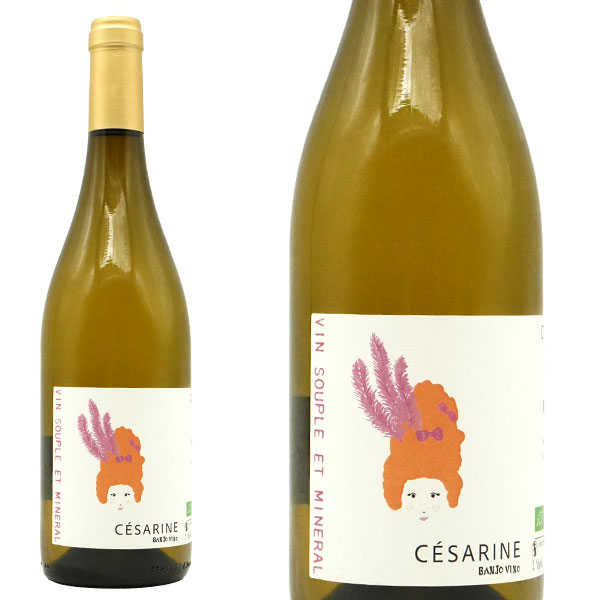 セザリン NV バンジョー ヴィーノ (アレクシス リヴェ ド サバティエ家)   (2020年創業の新進生産者) 自然派 ビオロジック 13%