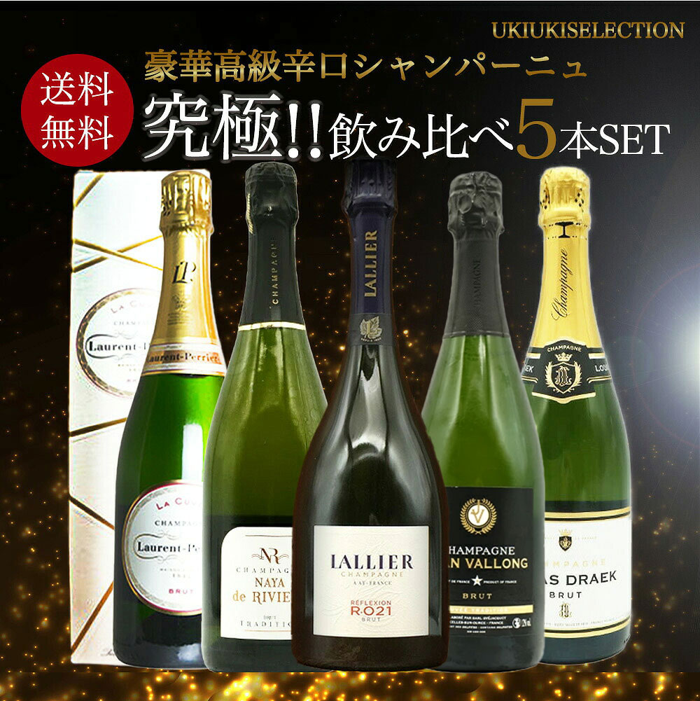 【送料無料】うきうき厳選！高級辛口シャンパーニュ究極飲み比べ豪華スペシャル5本セット ワインセット