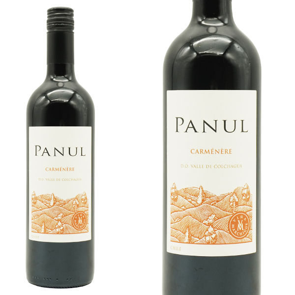 ビニャードス エラスリス オバリェ パヌール カルメネール[ 2023]年(コルチャグア ヴァレーD O