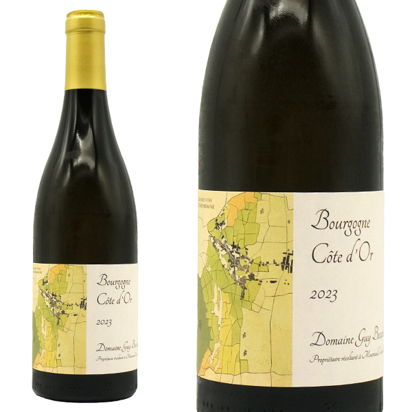 ブルゴーニュ ブラン コート ドール 2023 蔵出し作品 ドメーヌ ギィ ボカール元詰 自然派 有機オーガニック ビオ 14％
