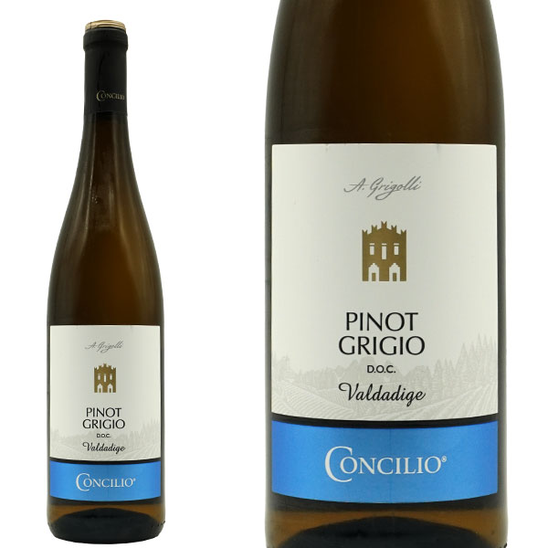 コンチリオ ピノ グリージョ グリゴッリ 2023 コンチリオ社(カンティーナ ソチアーレ トレント) モリ ピノ グリージョ種100% 12.5%
