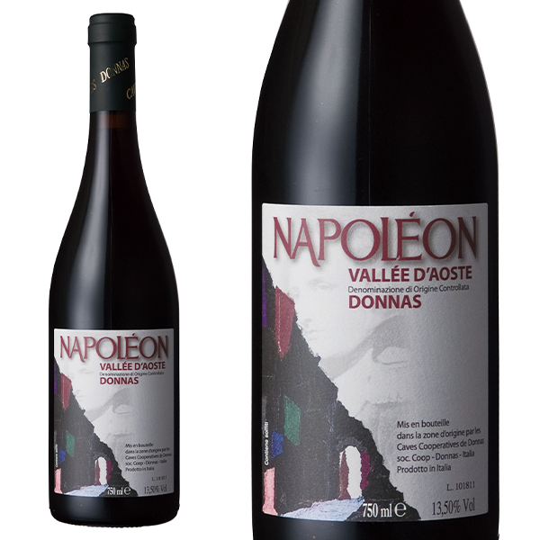 ＮＰＬ ヴァレー ダオステ ドナス 2020 ドナス