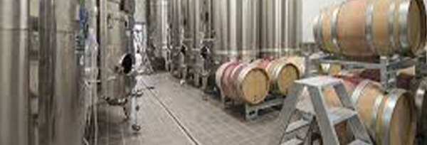 【ギフト箱付】【大型マグナムボトル】バロン ドーヴェルニュ グラン クリュ 特級 ブジー (100％) ブラン ド ノワール キュヴェ フィーヌ フルール 特大 自然派