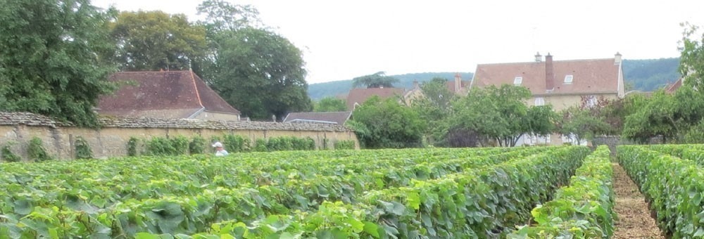 マルサネ ルージュ アン ウズロワ 2019 ドメーヌ ジョセフ ロティ元詰 AOCマルサネ 赤 辛口 フルボディ 750ml