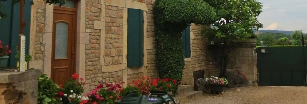 マルサネ ルージュ アン ウズロワ 2019 ドメーヌ ジョセフ ロティ元詰 AOCマルサネ 赤 辛口 フルボディ 750ml