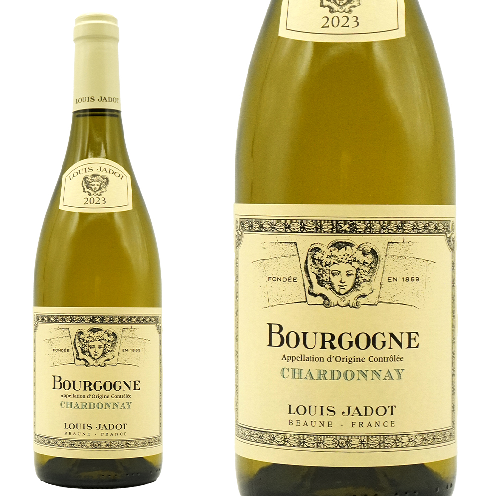 ブルゴーニュ シャルドネ 2023 蔵出し ルイ ジャド社 AOCブルゴーニュ ブラン 正規代理店輸入品