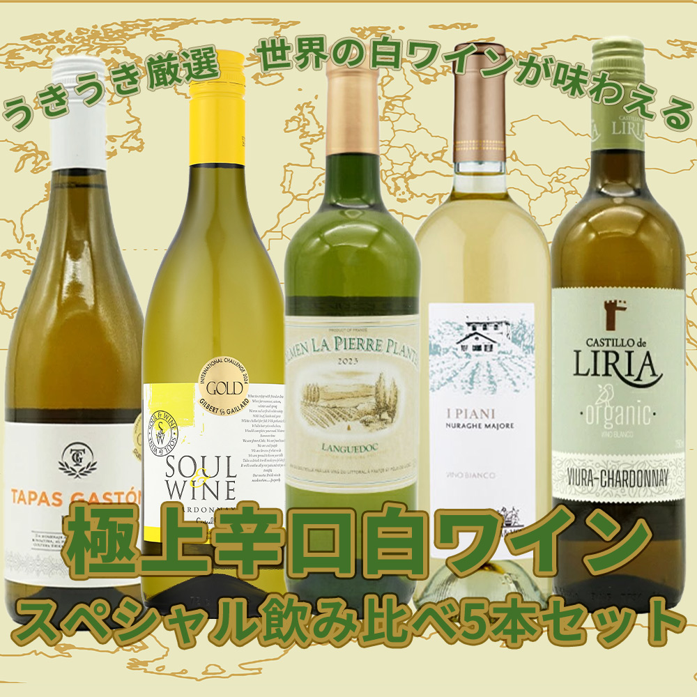 【送料無料】当店厳選！世界の白ワインが味わえる！超極上辛口白ワイン究極スペシャル飲み比べ5本セット