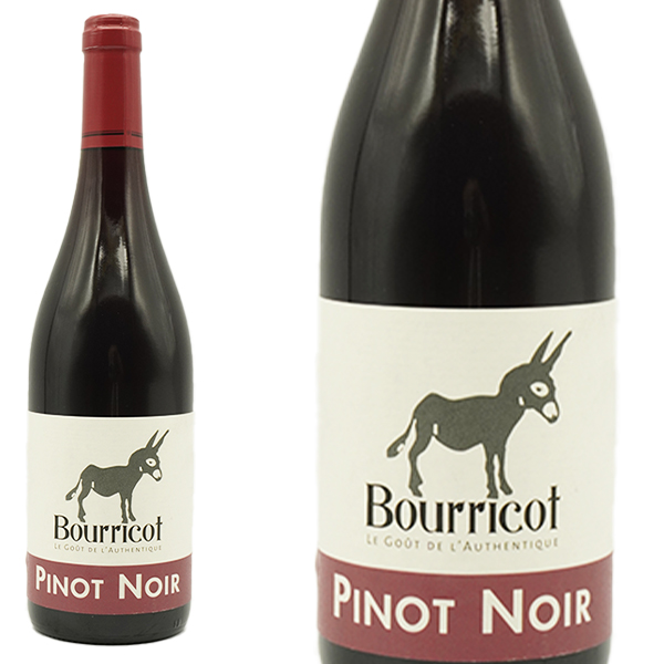 ブリコ ピノ ノワール 2022 N.ランジュロン社 ヴァン ド フランス(VDF) 醸造家Martin Laurent フランス ブルゴーニュ