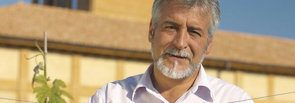 ドラゴン レセルバ 2015 ボデガス ベルベラーナ元詰 750ml スペイン 赤ワイン